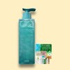 Amos Pure Smart Shampoo Cool 500g x 2 + Shampoo