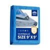 RAINDEWAY Tarps 9x9 Feet, 5.5 Mil - Multipurpose Waterproof Poly