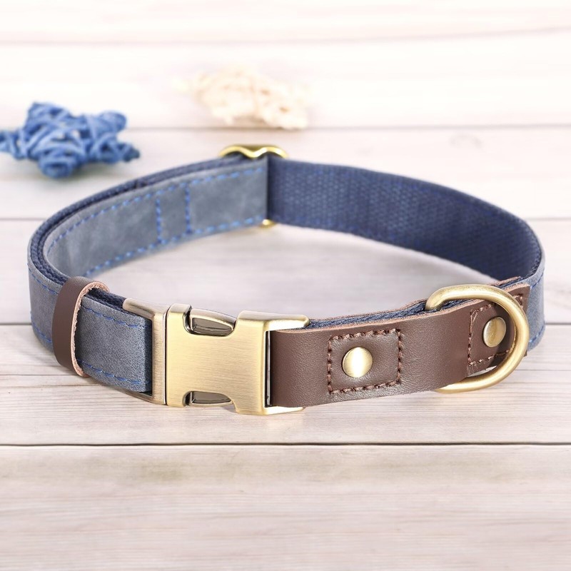 Didog Soft Padded Leather Collar for Medium Dogs Classic Dog