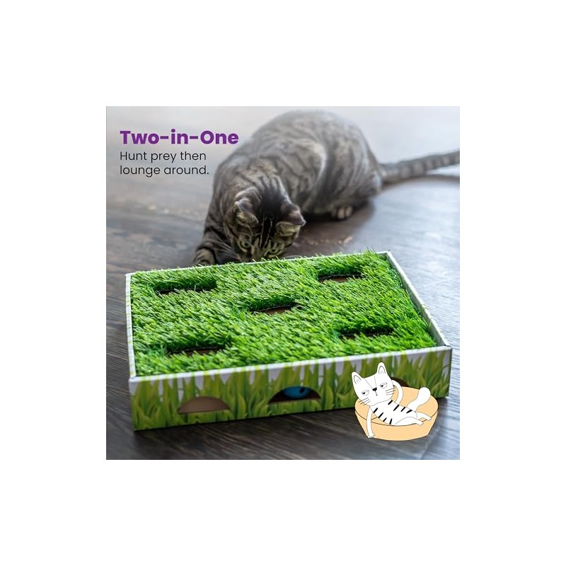 Petstages Caja de Caza con Parche de Hierba para Gatos