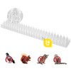 Touri Upgraded 24 Pack Clear Bird Spikes, Transparent PVC Bird