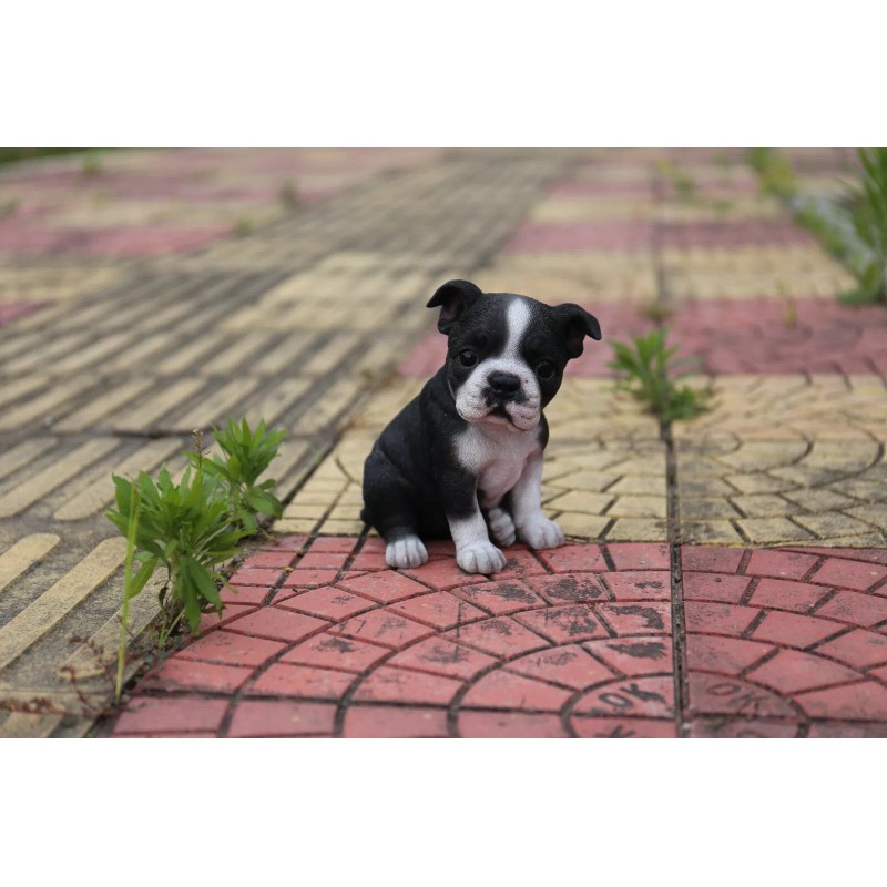 Hi-Line Gift Ltd. Boston Terrier Puppy Garden Statue Small Dog