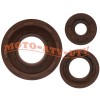 JINFANNIBI Crankshaft Crank Seal Kit Set for Polaris RZR Ranger