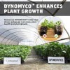 DYNOMYCO PURE MYCORRHIZAL INOCULANT ORGANIC ROOT ENHANCER - 12oz /