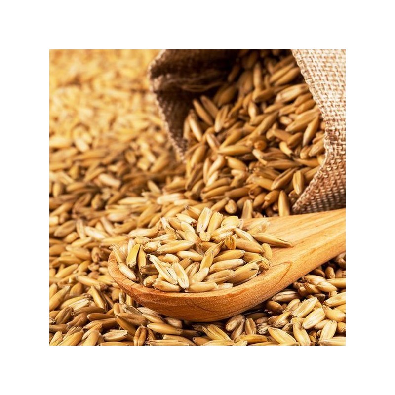 Cham Goods 파로 엠머 밀 복합효소 골드밸런스 120g 5통 Paro