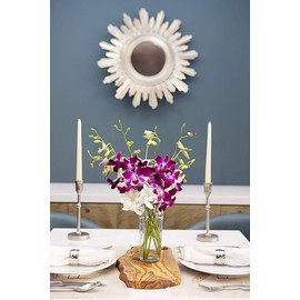 KaBloom Flowers -Valentine's Day Collection - 5 Purple and 5 White Orchid without vase, Gift for Birthday, Sympathy, Anniversary, Get Well, Thank You, Valentine, Mother’s Day Fresh Flowers