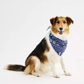 Jammies For Your Families Pet Winter Fairisle Pet Bandana Navy SIZE S/M Dogs Cats Animals Snow