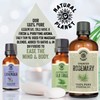 Natural Planet Rosemary Oil 100% Pure & Undiluted Natural Essential