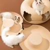 Cat Tunnel Bed with 2 Ventilated Windows Removable Washable Felt