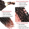 Alrence Passion Twist Crochet Hair 8 Packs Pre twisted Passion