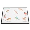 Mr. & Mrs. Panda Desk Mat Native Birds Gift Desk