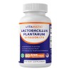 Vitamatic Lactobacillus Plantarum 20b Cfu 60 Cápsulas