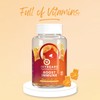 IvyBears Boost Immune Gummies | Daily Immune Support | Vitamins