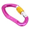 Aluminum Alloy 24KN Carabiner D Buckle Spring Clip Keychain Hook