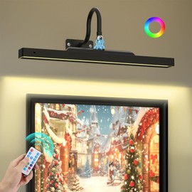 Picture Lights for Wall Rechargeable, 4000mAh Art Lighting for Paintings Wireless with Remote, 16.5in Gallery Light 3 Colors & RGB Brightness Dimmable with Timer for Frame,Portrait,Display(Black)