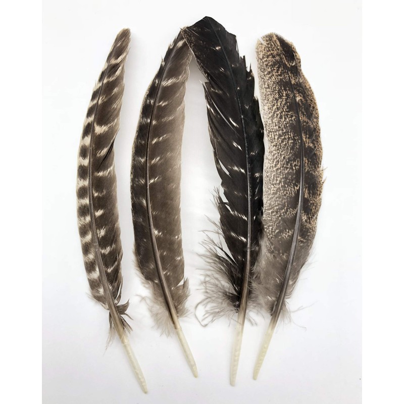 Ergeob Turkey Feather 20 – 30 cm/8 – 12-inch Length