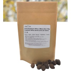 Herbal Cure - Malva Nut - Pangdahai Natural Vegan 胖大海 150g - Product of China