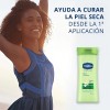 Vaseline Intensive Care Aloe Soothe Restores And Soothes