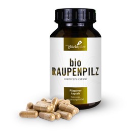 BIO Cordyceps sinensis Kapseln - Pilz Pulver vom ganzen Pilz - Raupenpilz - 120 Stk - aus Bio-Zucht in Österreich, kein Chinaimport - Pilzpulverkapseln ultrafein vermahlen & bioverfügbar
