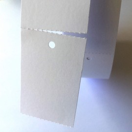 BT-Label 1500 Cardboard Labels 30 x 46 mm on Roll Blank Continuous Labels with Hole Price Labels for Labelling Equipment Clothing Labels Tags Hang Tags