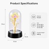 Eternal Rose Gift for Her – Acrylic Rose Display with
