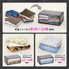 Astro 171-71 Activated Carbon Deodorizing Clothing Storage Case, Deodorizing Storage