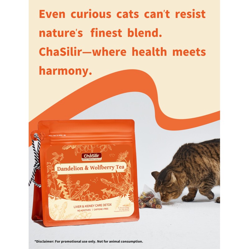 ChaSilir Organic Dandelion Root & Wolfberry Detox Tea Bags -