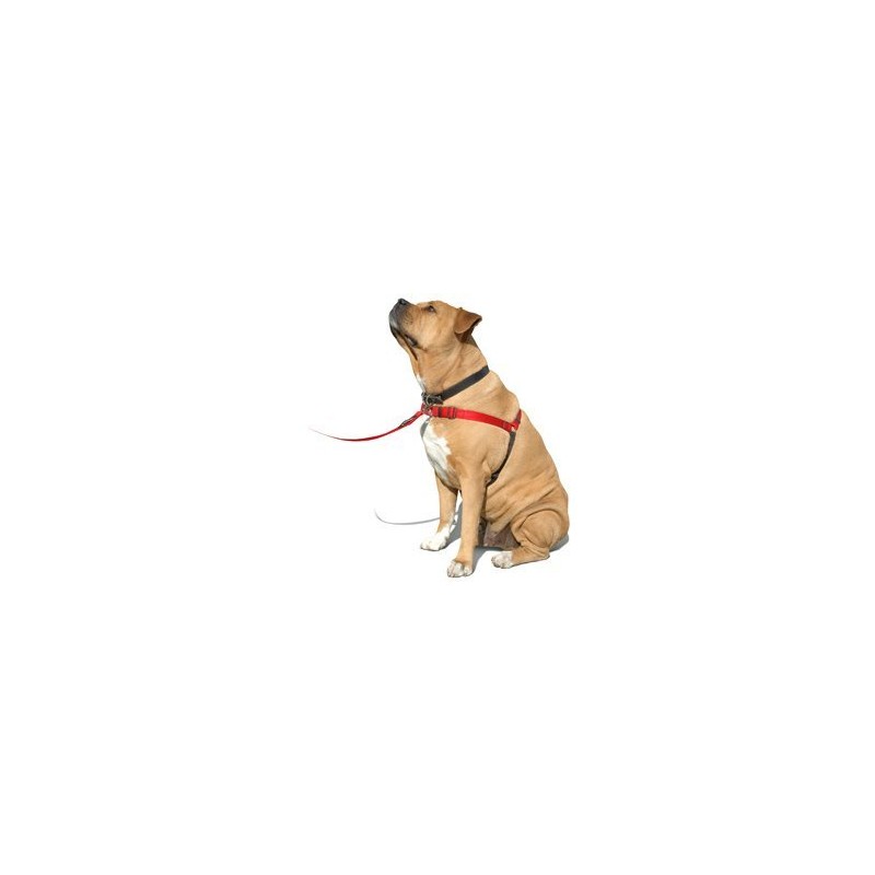SENSE-ation No-Pull Dog Harness - 3/4" Wide Medium/Large