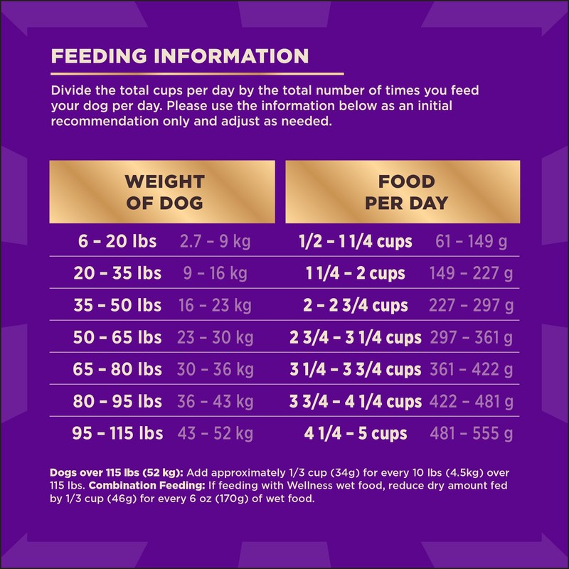 Wellness CORE+ Dry Dog Food with Freeze Dried Pieces, Wholesome