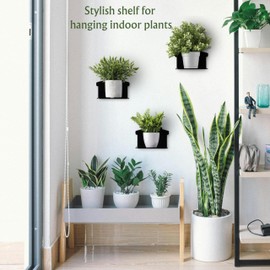 DECORA SHINE Floating Shelves Wall Mounted - Set of 3 Small Wall Shelf with Cord Hole - 6 Inches Modern Acrylic Shelves - Home Decor for Bedroom, Bathroom, Nursery Decor and Speaker Wall Mount