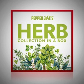 Pepper Joe's Culinary Herb Seed Variety Pack – 600+ Premium Herb Seeds – Basil, Dill, Rosemary, Thyme, Parsley, and Cilantro – Ultimate Herb Seed Bundle