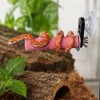 BingegePet Pink Resin Snake Climbing Branch, 4.1" Gourd-Shaped Reptile Ledge