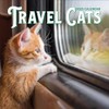 Travel Cats Wall Calendar 2025