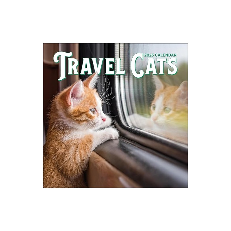 Travel Cats Wall Calendar 2025