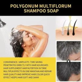 Shampoo Tinte Negro Instantáneo Cubre Canas Jengibre 530ml                                                                                            