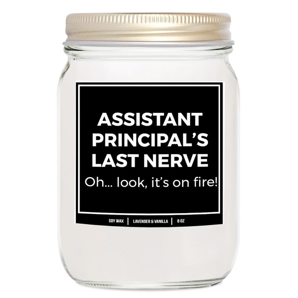 You Nique Designs Funny Assistant Principal Gifts 8oz Candle Gift