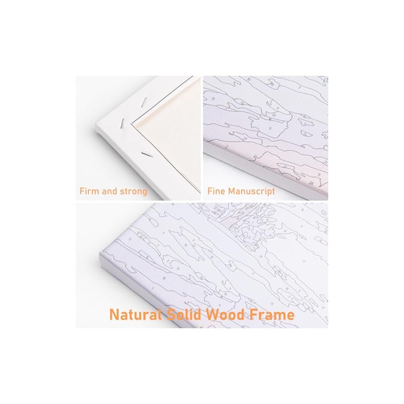 Paint by Numbers Kit for Adults Framed Canvas - 16x20