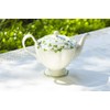 Grace Teaware Shamrock Fine Porcelain Teapot 32oz Capacity Multicolor