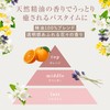 MOGANS Conditioner, Koromoka Koromo Kaoru (Amino Acid, Additive-Free, Non-Silicon), 10.1