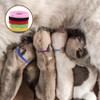 30Pcs Puppy Whelping Collars, Newborn Pet Collars, Adjustable Identification Collar,