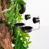 WACOOL Magnetic Reptile Ledge, Acrylic Gecko Feeding Ledge with 6PCS