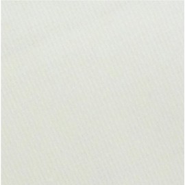 Towa Sangyo 11833 Kitchen Towel CF Antibacterial Dobby Weave 2 Pieces