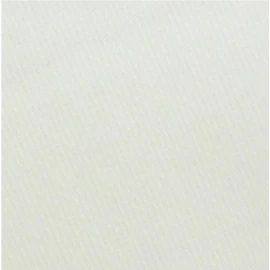 Towa Sangyo 11833 Kitchen Towel CF Antibacterial Dobby Weave 2 Pieces