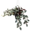MyGift Artificial Ruscus Leaf Hanging Plant, Fake Green Leaves Vine