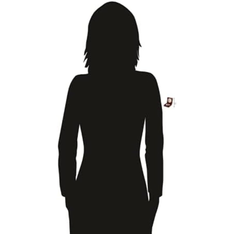 Howard Miller 549835 Albia Tabletop Clock II