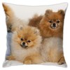 antcreptson Funny Pomeranian Throw Pillow Cover Decorative Cushion Case Home