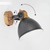 Orny Ceiling Light in Various Designs
