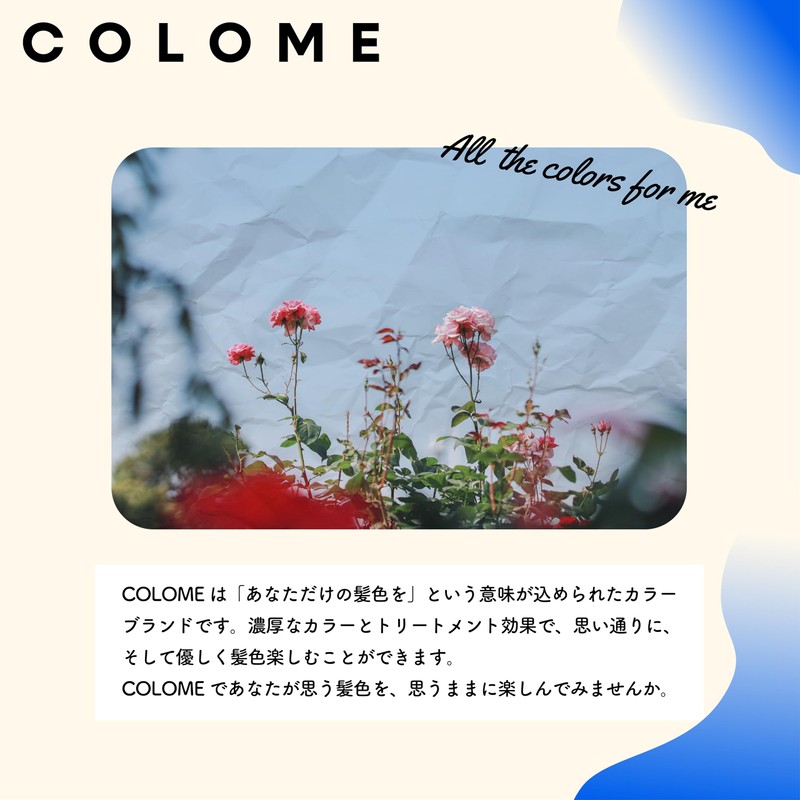 COLOME BLUE Coloring Supplies, Blue, Blue