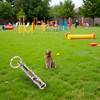 WLngtv Pet Whistle Dog Tools Anti Barking Bark Dog Training