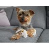 Rosewood Dog Natural Nippers Cuddle Plush, for All Breed Sizes